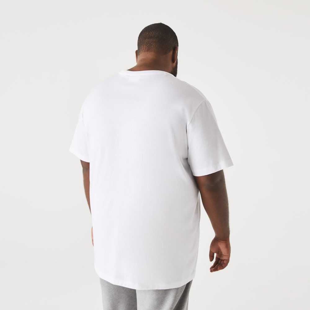 White Lacoste Big Fit Crew Neck Cotton Jersey T-Shirt | XVBOQU-574