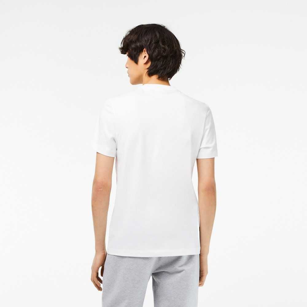 White Lacoste Cotton Jersey Print T-Shirt | HYXJKT-084