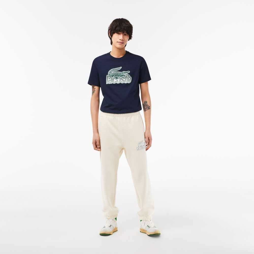 White Lacoste Organic Cotton Track Pants | NWDYOI-458