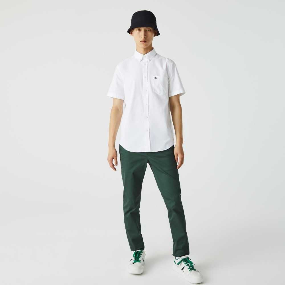 White Lacoste Regular Fit Cotton Shirt | ZLPWTS-739