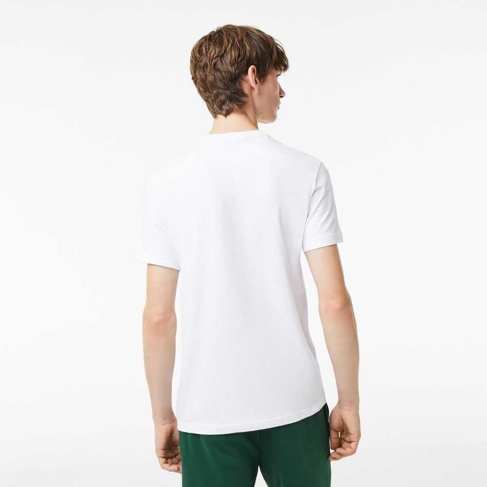 White Lacoste Regular Fit Jersey T-Shirt | PGVTWL-859