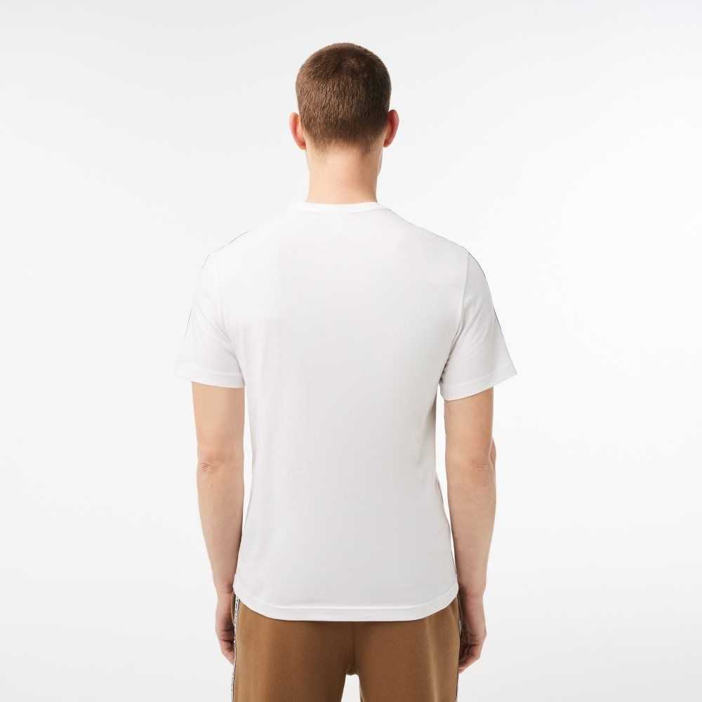 White Lacoste Regular Fit Logo Stripe T-Shirt | PGYZJH-736