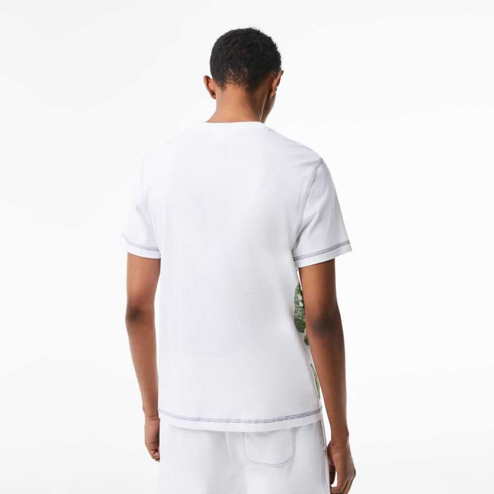 White Lacoste Regular Fit Organic Cotton Jersey T-Shirt | OUFPNH-156