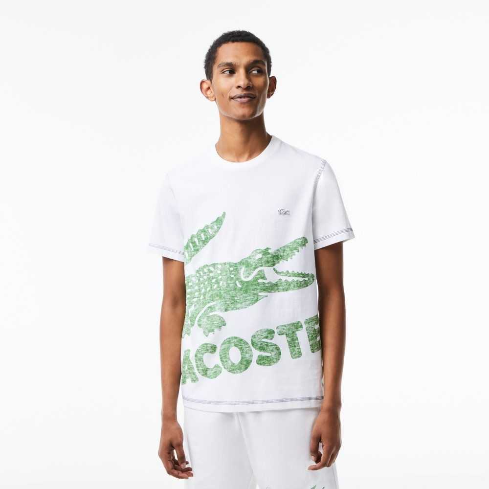 White Lacoste Regular Fit Organic Cotton Jersey T-Shirt | OUFPNH-156