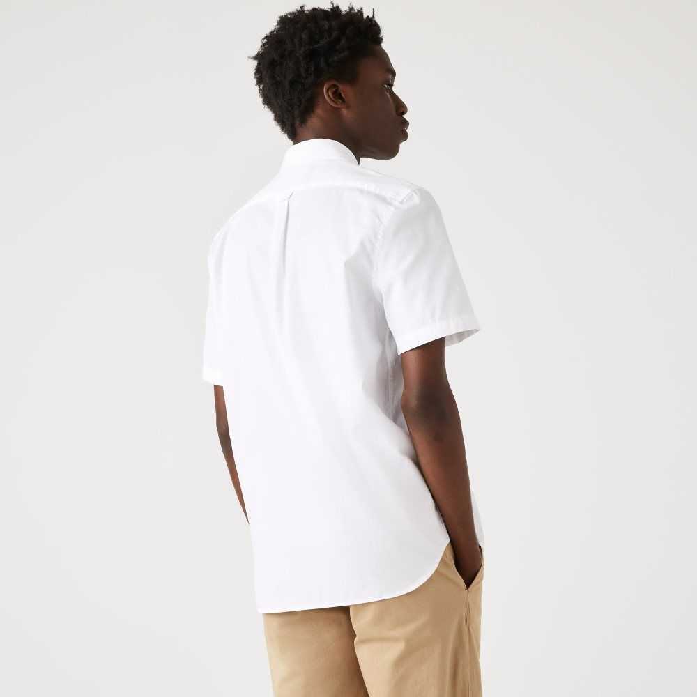 White Lacoste Regular Fit Oxford Cotton Shirt | AYZBCO-529