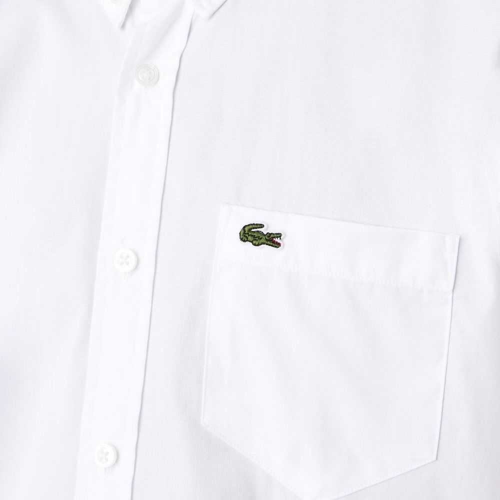 White Lacoste Regular Fit Oxford Cotton Shirt | AYZBCO-529