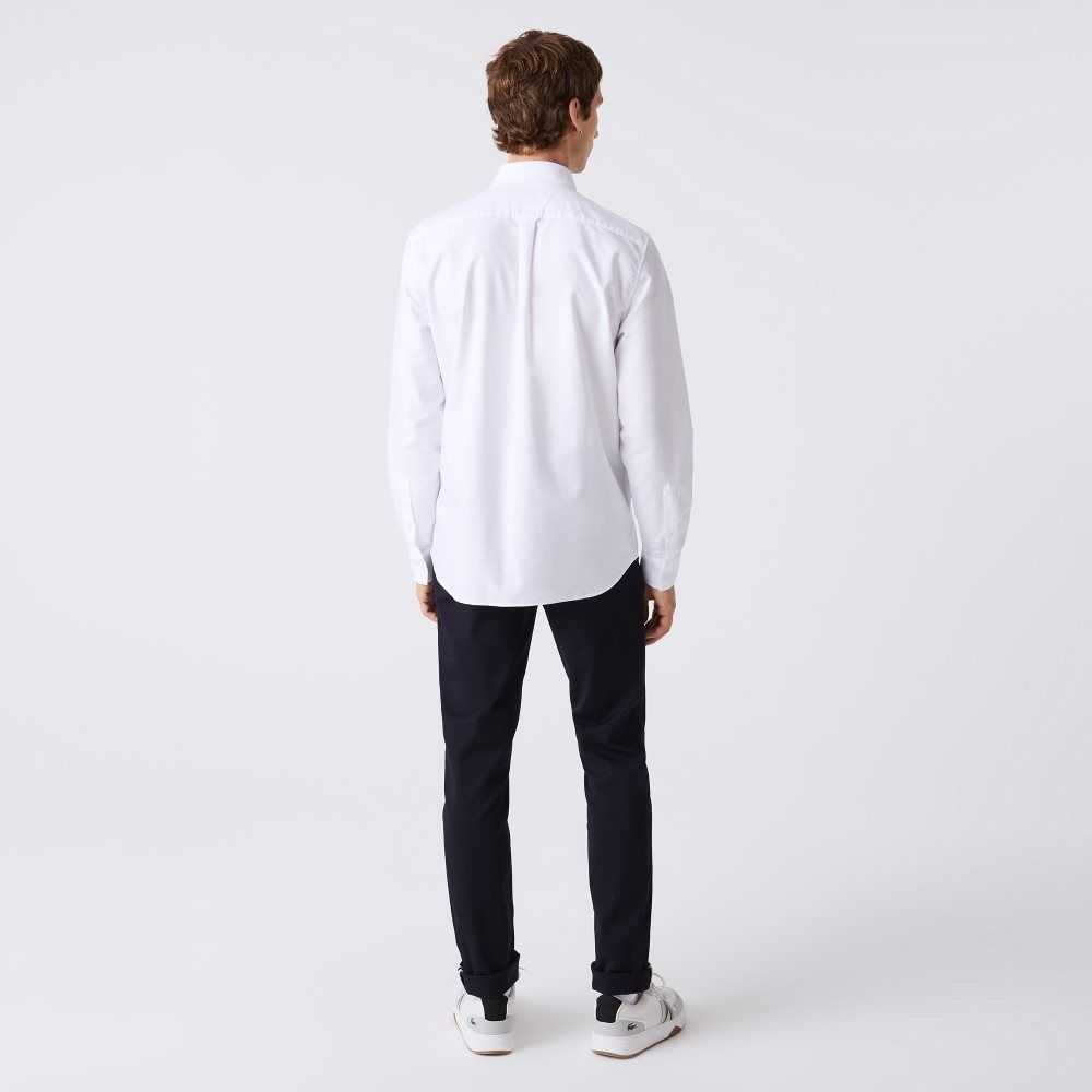 White Lacoste Regular Fit Oxford Cotton Shirt | MLAODX-459