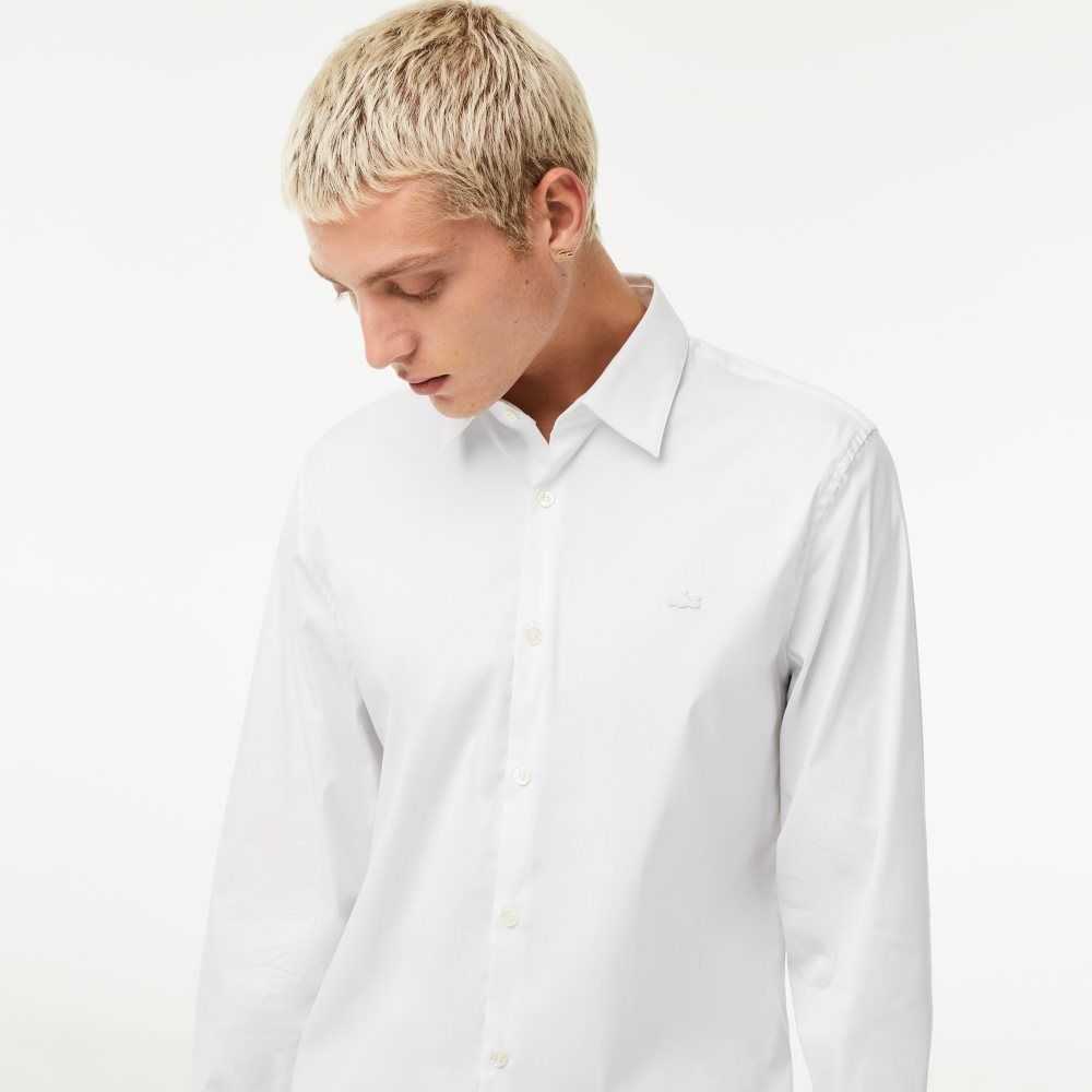 White Lacoste Slim Fit French Collar Cotton Poplin Shirt | WVSZIY-609