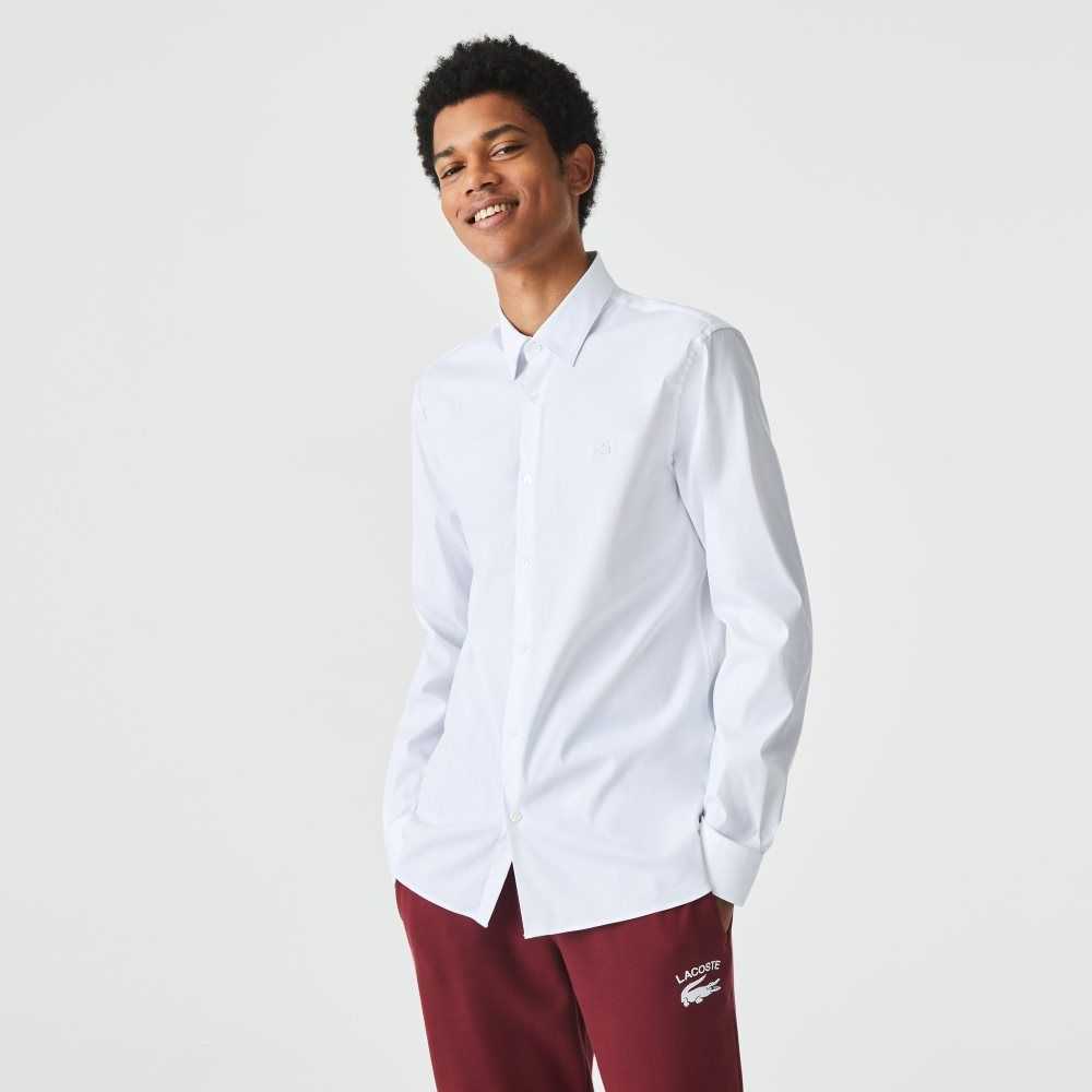 White Lacoste Slim Fit French Collar Cotton Poplin Shirt | WVSZIY-609