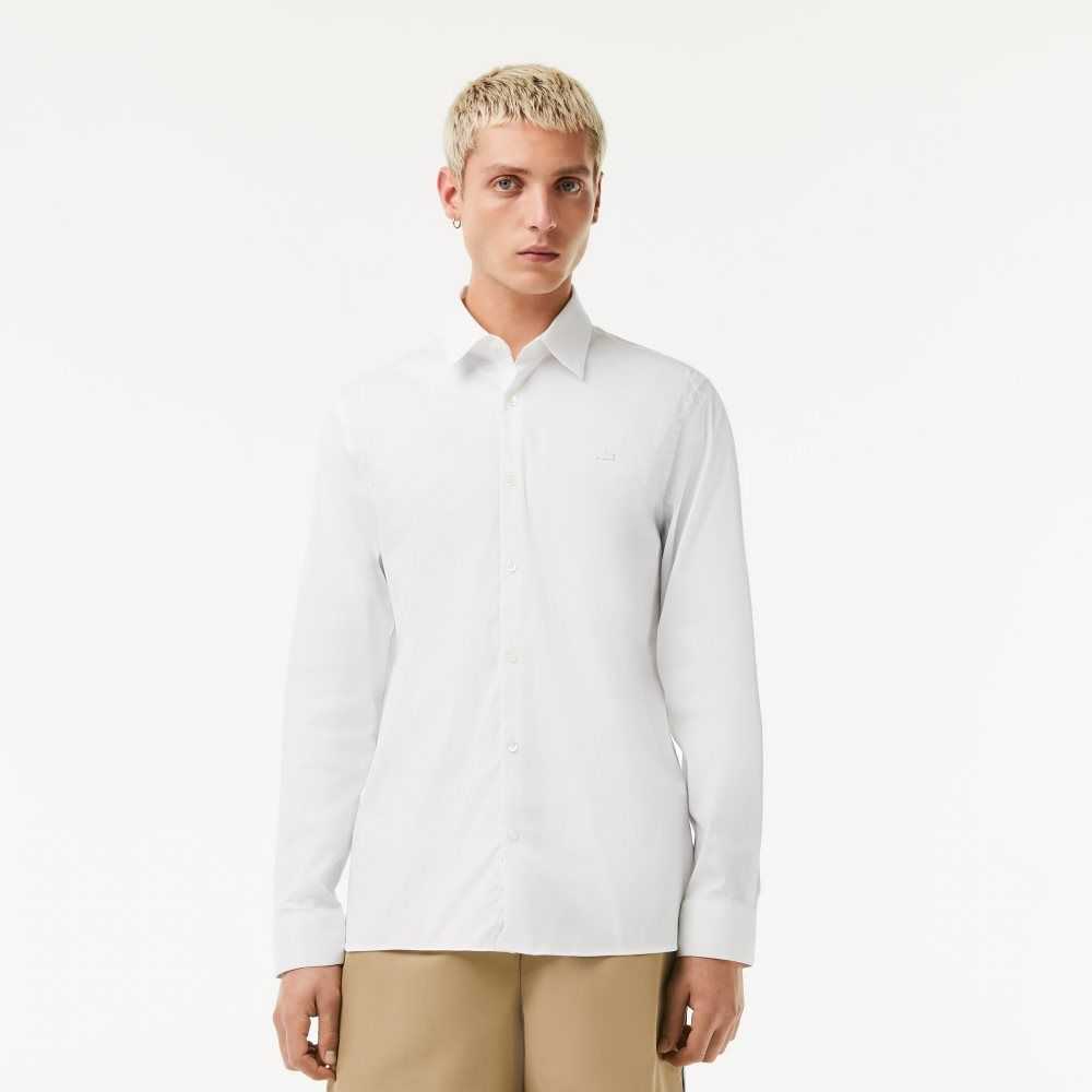 White Lacoste Slim Fit French Collar Cotton Poplin Shirt | WVSZIY-609