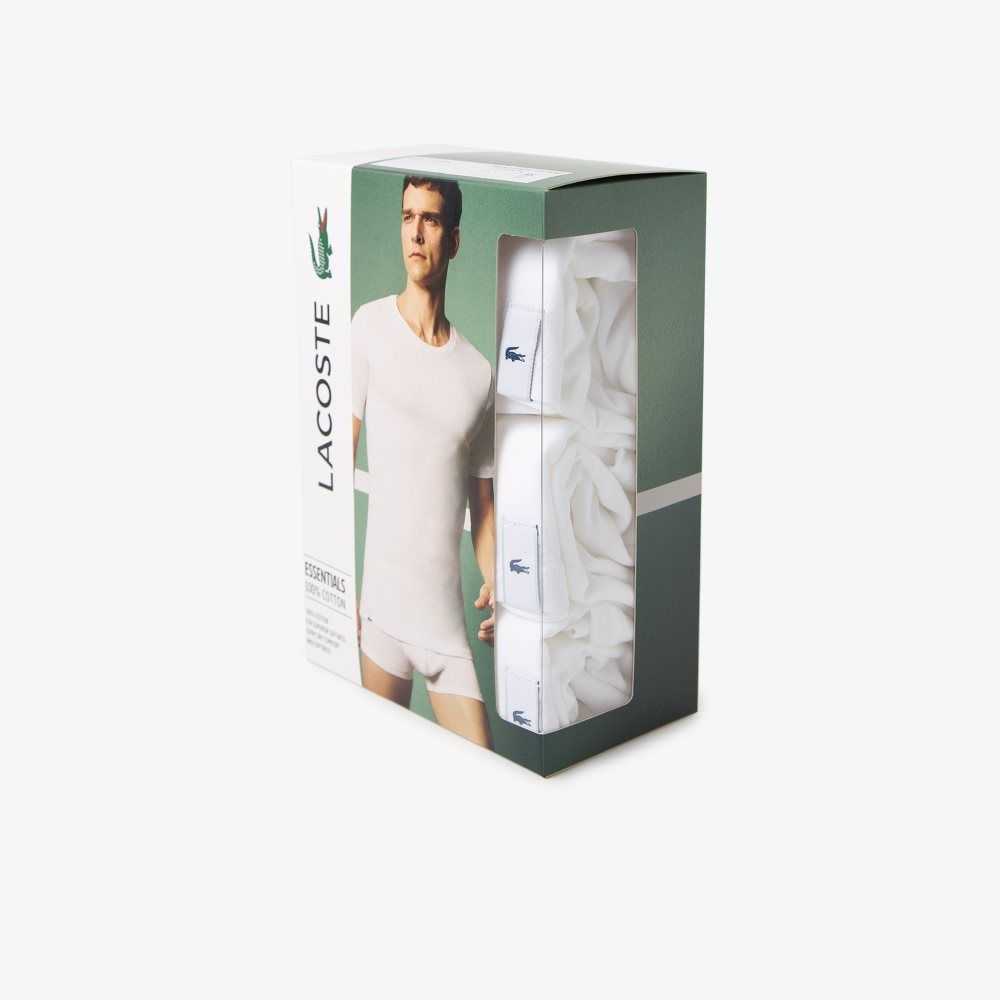 White Lacoste T-Shirt 3-Pack | QWSZJX-496