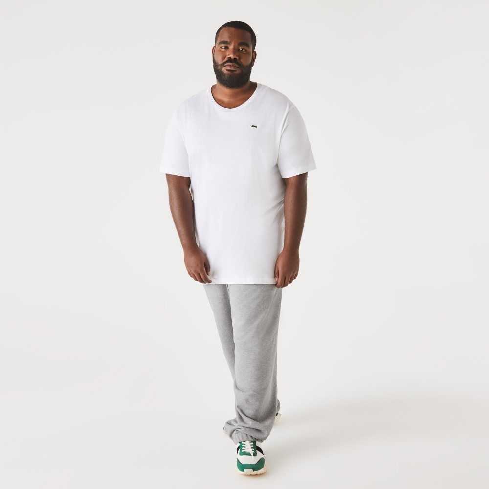 White Lacoste Tall Fit Pima Cotton Jersey T-Shirt | GZCLDO-104