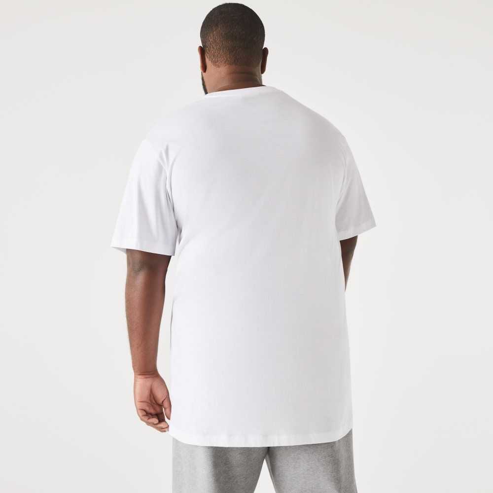 White Lacoste Tall Fit Pima Cotton Jersey T-Shirt | GZCLDO-104