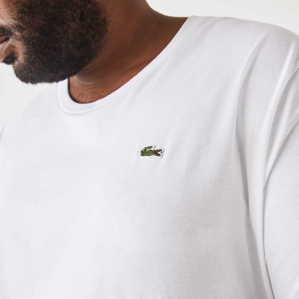 White Lacoste Tall Fit Pima Cotton Jersey T-Shirt | GZCLDO-104